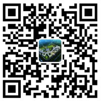 成都東辰外國語(yǔ)學(xué)校微信公眾號