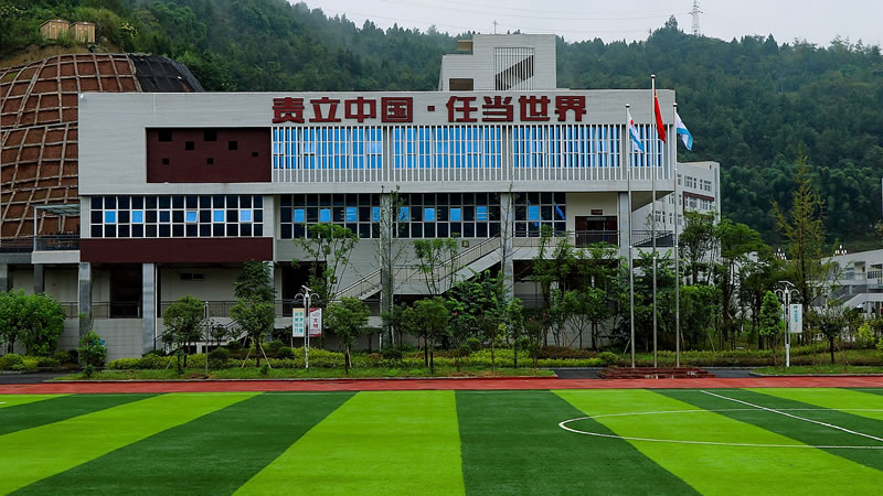 南部縣東辰國際學(xué)校圖片展示