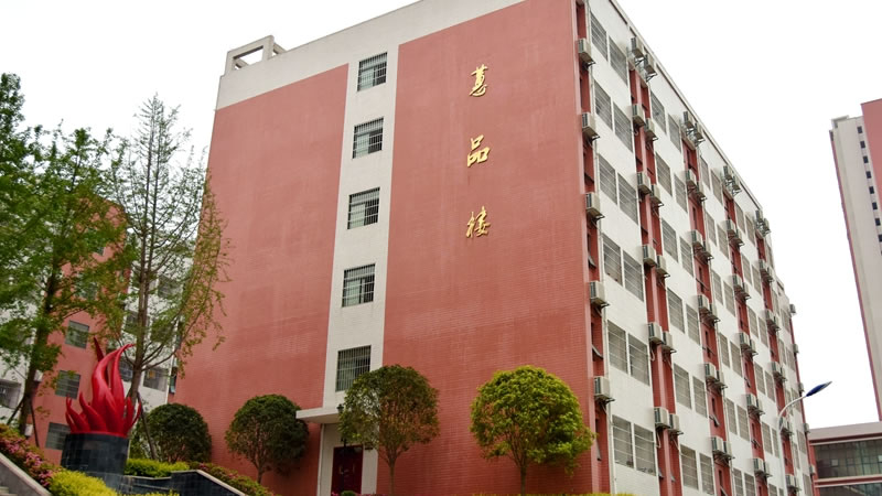 畢節東辰實(shí)驗學(xué)校圖片展示